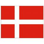丹麦U19logo